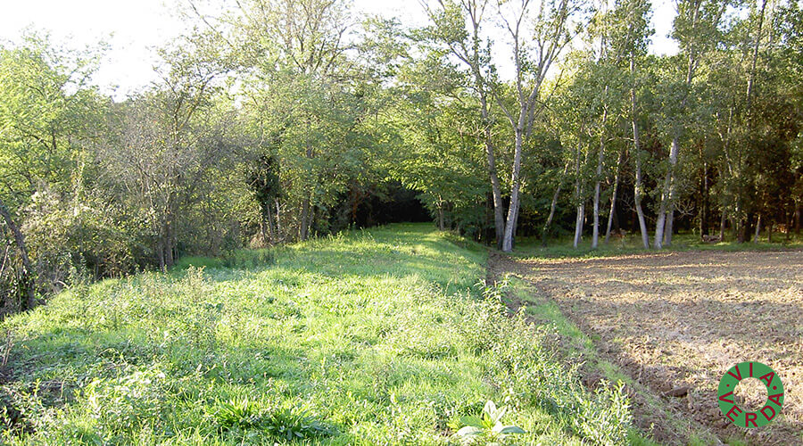 Ajuntament Sant Andreu Salou. Adequació pistes ciclables, estructures