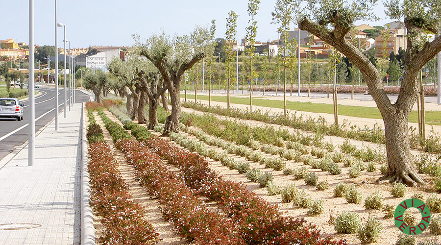 Espais Verds La Fanga. Jardinedia, urbanització, reg