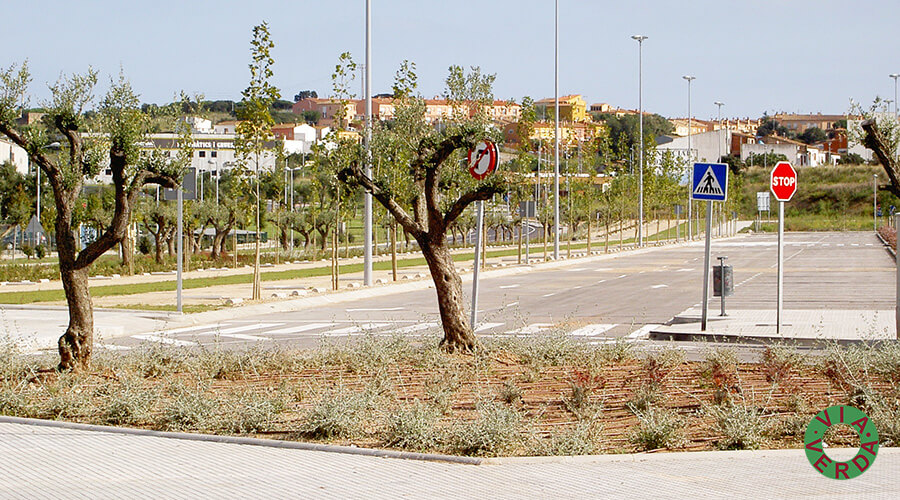 Espais Verds La Fanga. Jardinedia, urbanització, reg