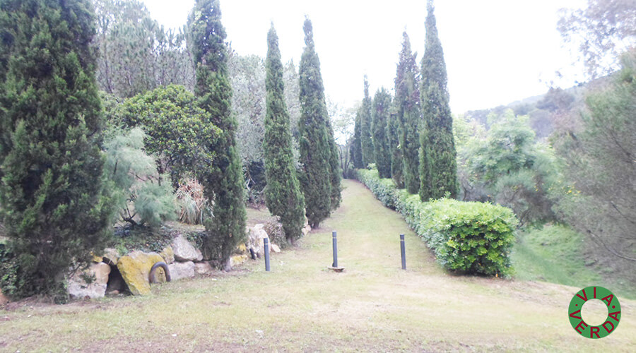 Urbanització Zona Verda Pastora. Plaça Pins