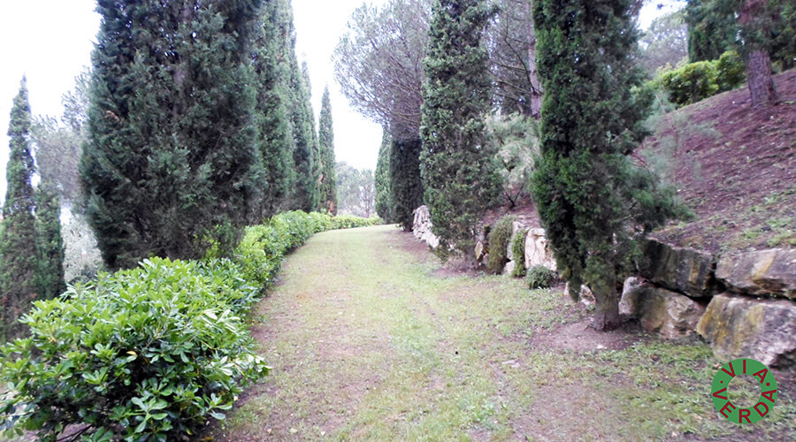 Urbanització Zona Verda Pastora. Plaça Pins