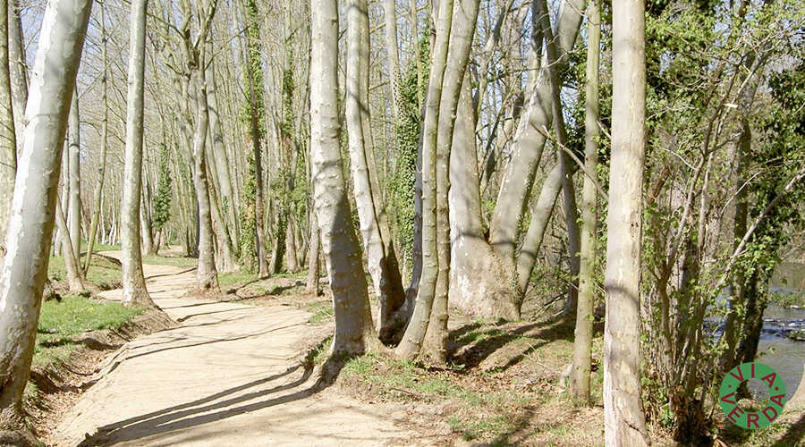 Ajuntament Bescanó. Millores ambientals