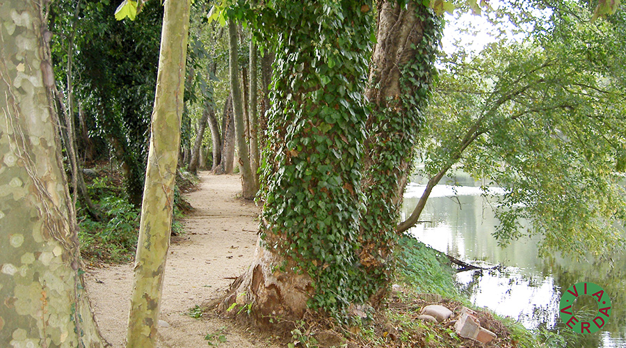 Ajuntament Bescanó. Millores ambientals