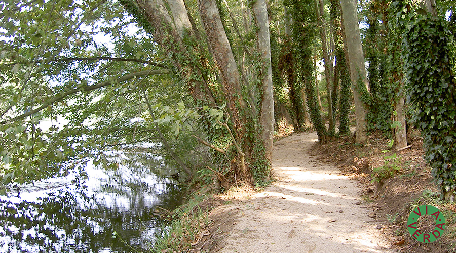 Ajuntament Bescanó. Millores ambientals